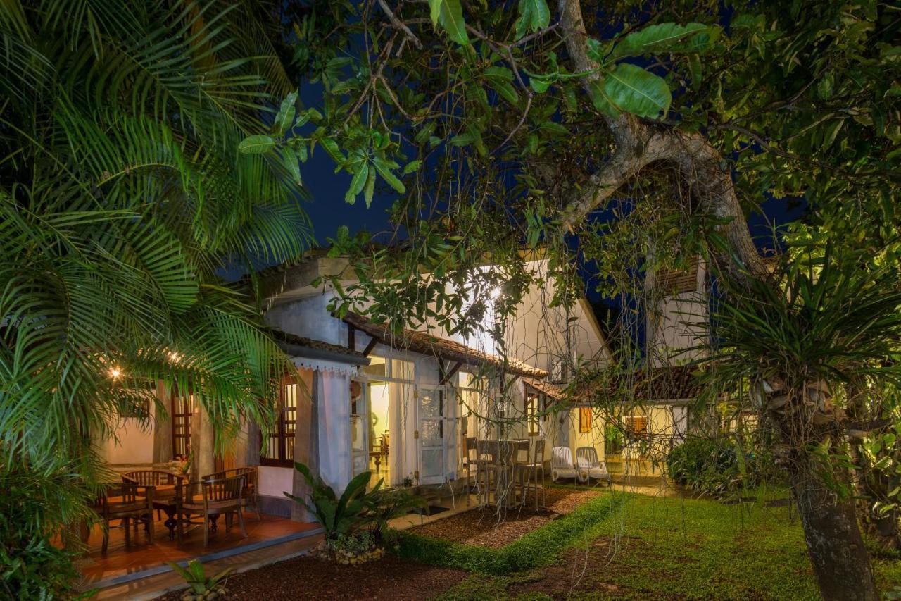 Bilin Tree House Hotel Galle Bagian luar foto