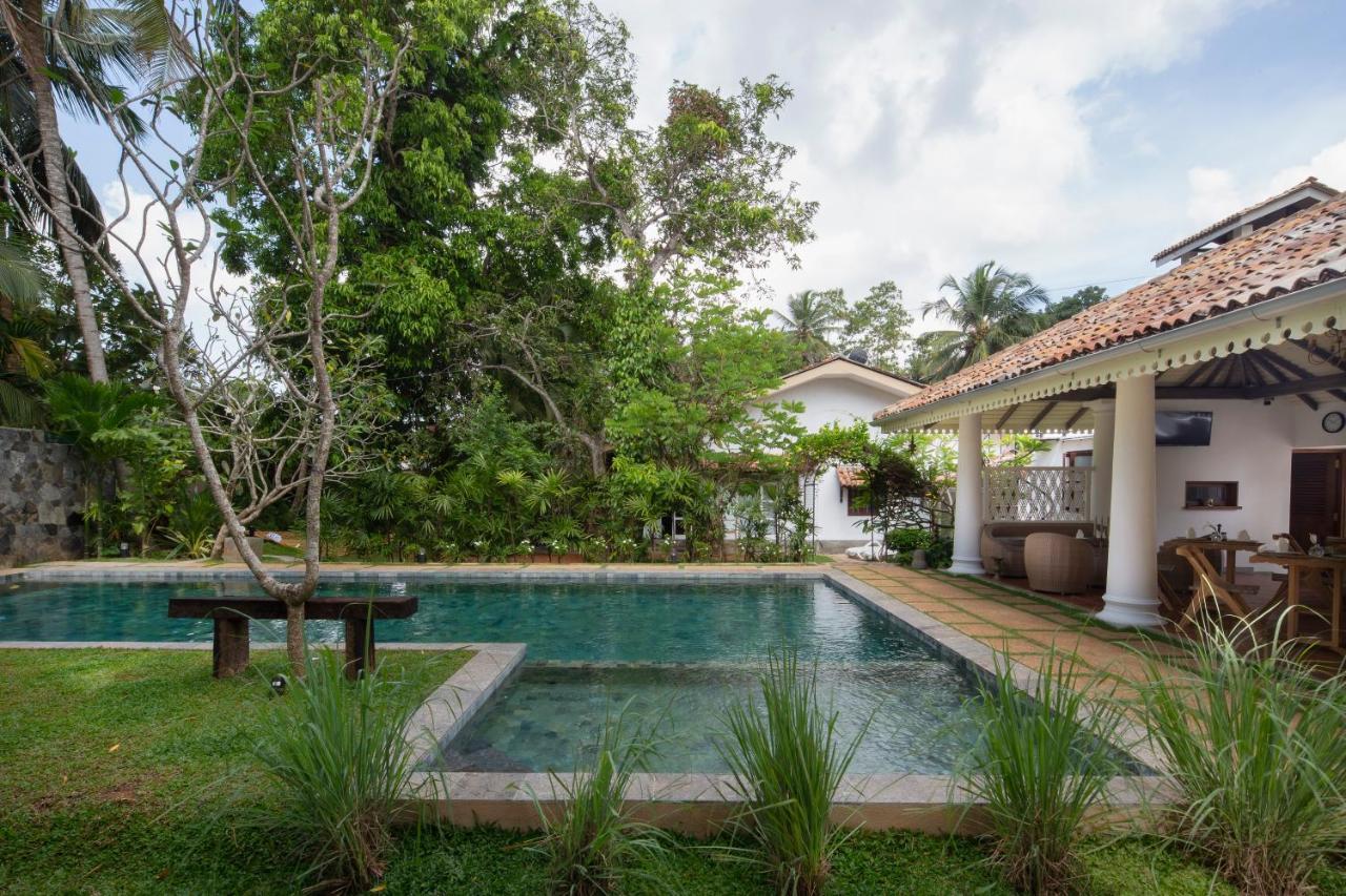 Bilin Tree House Hotel Galle Bagian luar foto