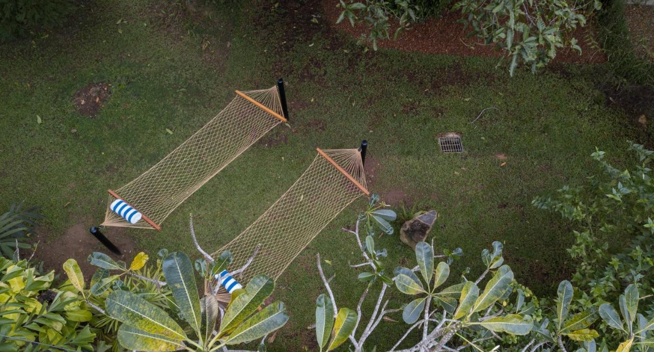 Bilin Tree House Hotel Galle Bagian luar foto